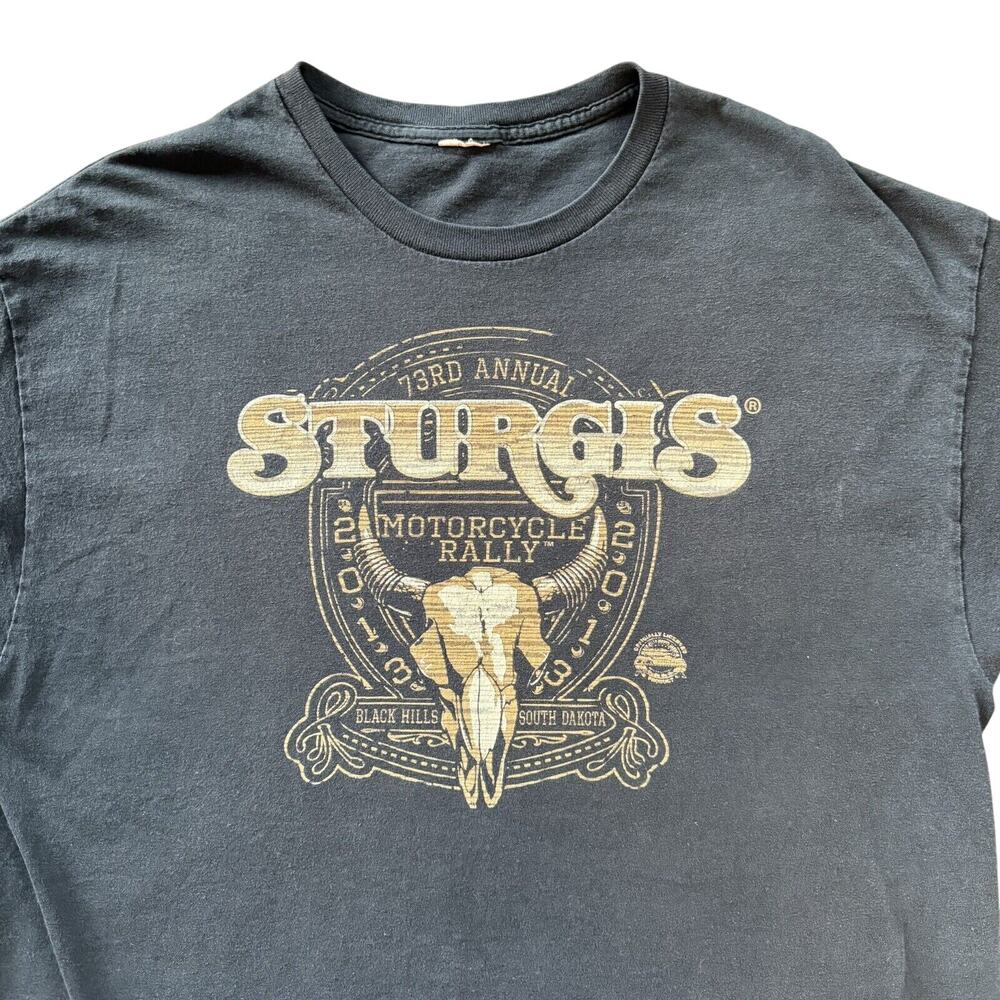 2013 BLACK HILLS SOUTH DAKOTA STURGIS‎ BIKER T-SHIRT L MOTORCYCLE RALLY SKULL